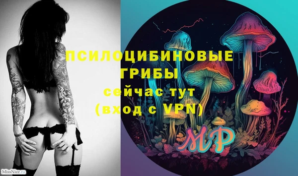 прущие крисы Алзамай