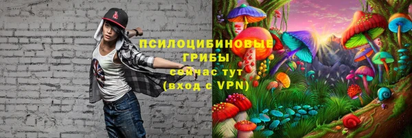 мет Алексеевка