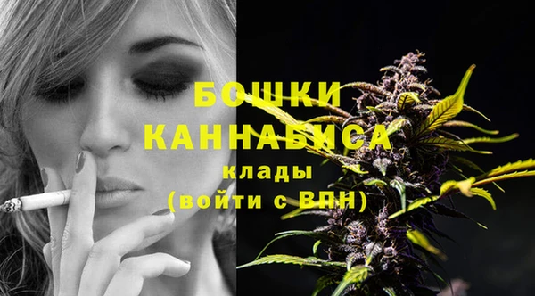Альфа ПВП Аркадак