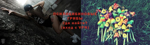 прущие крисы Алзамай